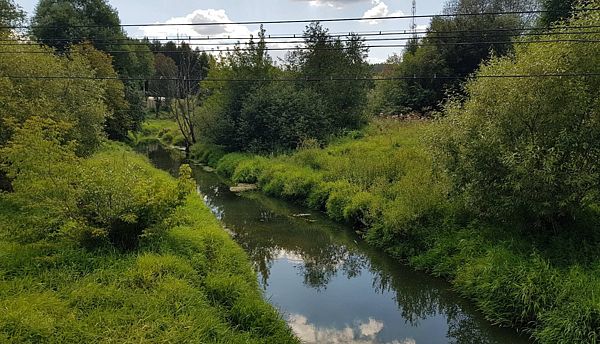 Река Сходня