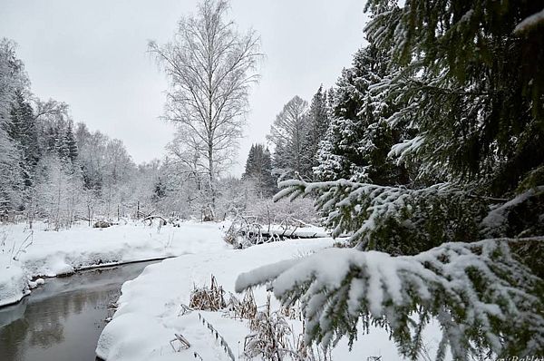 Река Сходня зимой