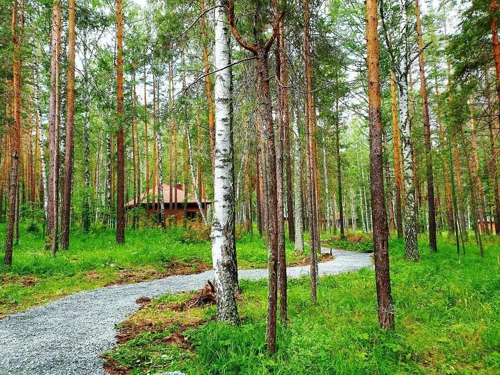 База отдыха Лапландия, Республика Башкортостан: фото 2