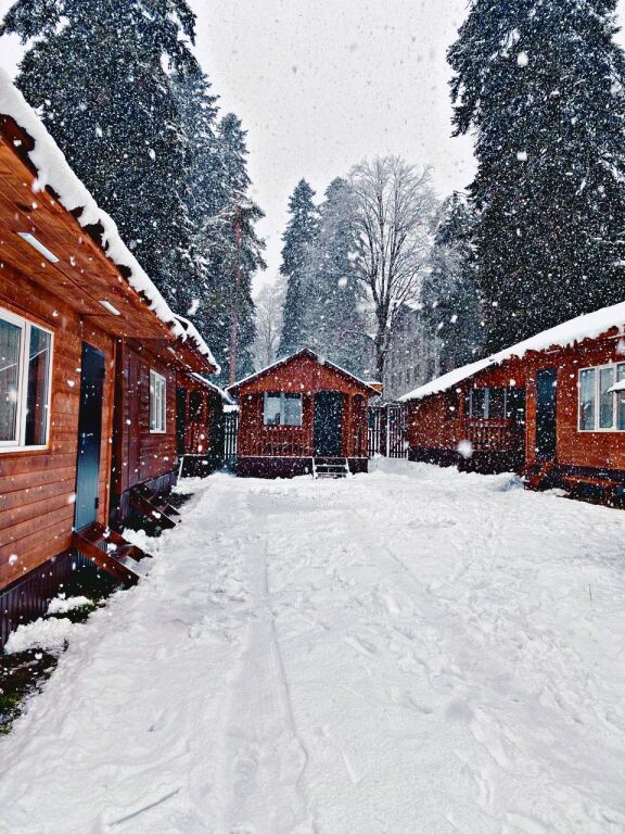 Эверест, Республика Карачаево-Черкесия: фото 2