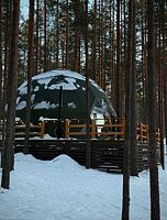 Сфера "Дом с котом...и не только", Глэмпинг Мистик Хиллс, Приозерский район