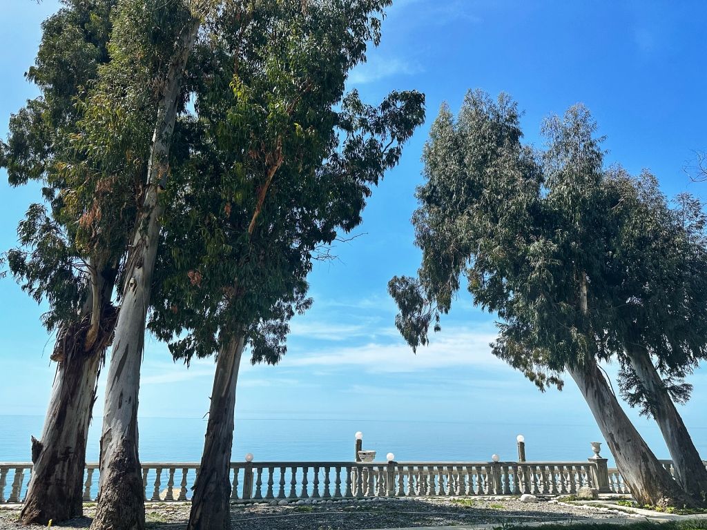 База отдыха Набережная Виктория, Гудаутский район: фото 4