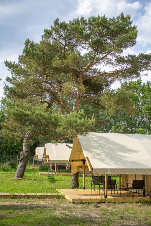 Глэмпинг Малина, Калининградская область: фото 4