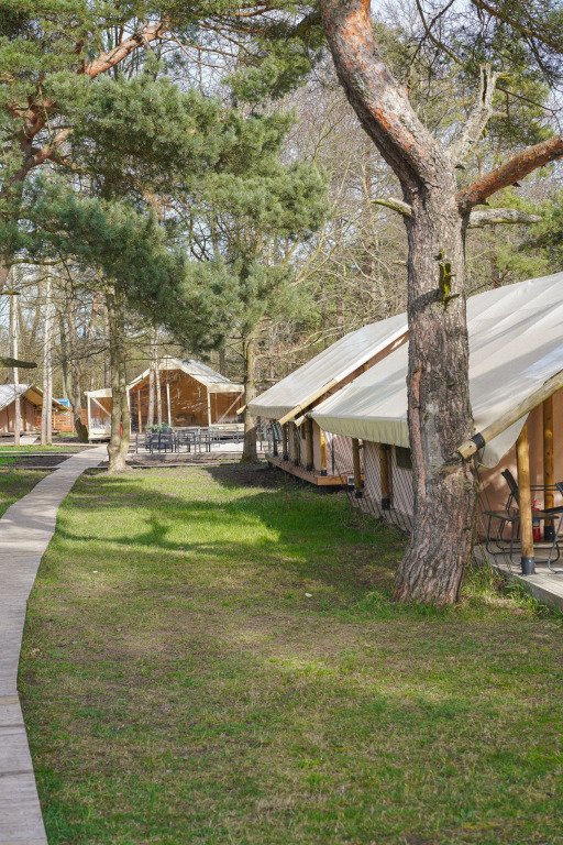 Глэмпинг Малина, Калининградская область: фото 5