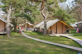 Двухместный Шатёр первая категория с красивым видом из окна двуспальная кровать, Глэмпинг Малина, Зеленоградск