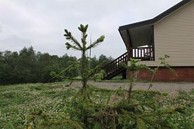 Четырёхместный коттедж Standard, Гостевой дом Sumeria House Karelia, поселок Импилахти