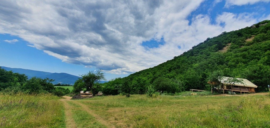 Солнечноселье, Крым: фото 5