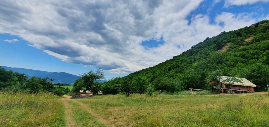 Солнечноселье, Крым: фото 5