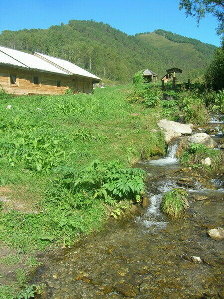 Ручей на территории | Борискин лог, Алтайский край