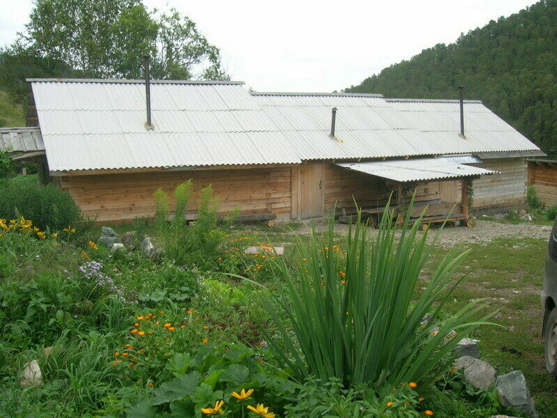 Вид на дом | Борискин лог, Алтайский край