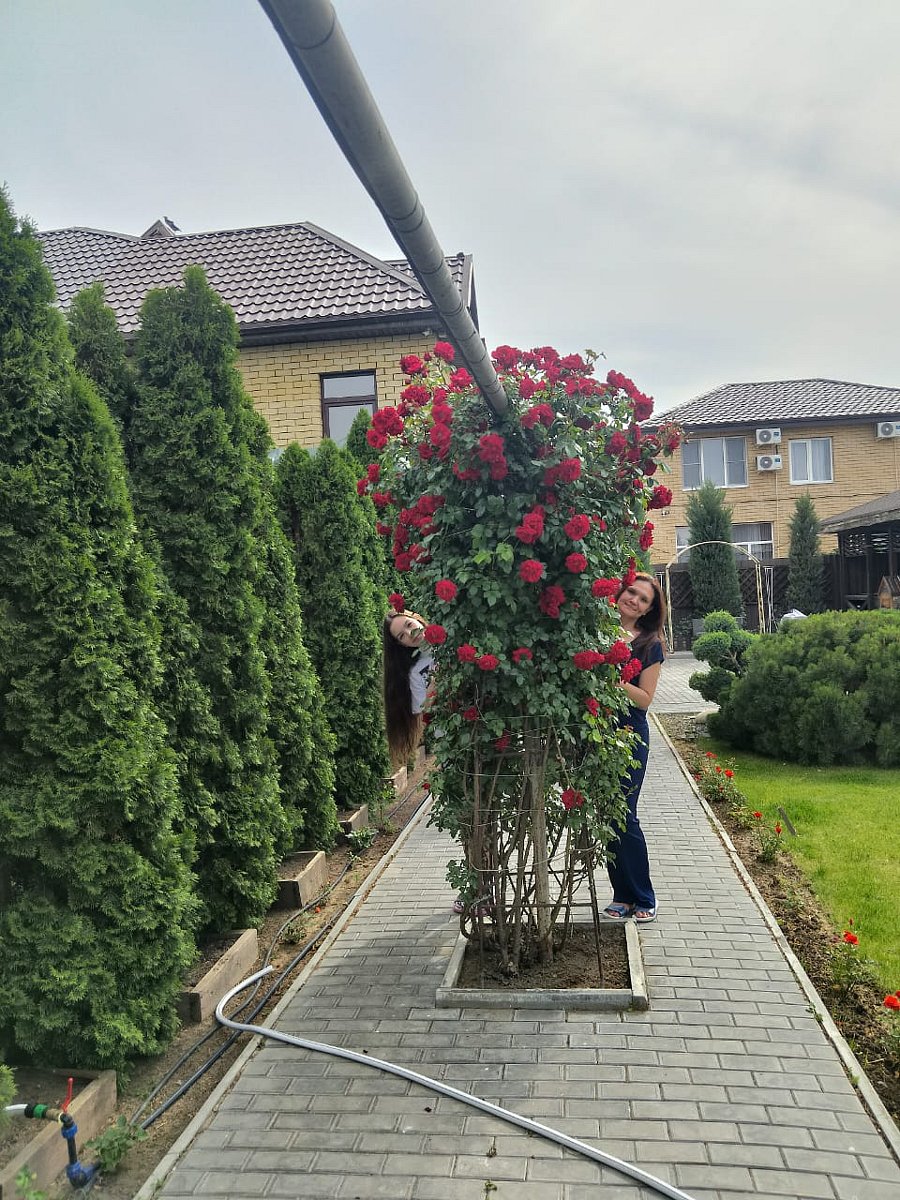 Фото 11 из отзыва о гостевом доме Атмосфера