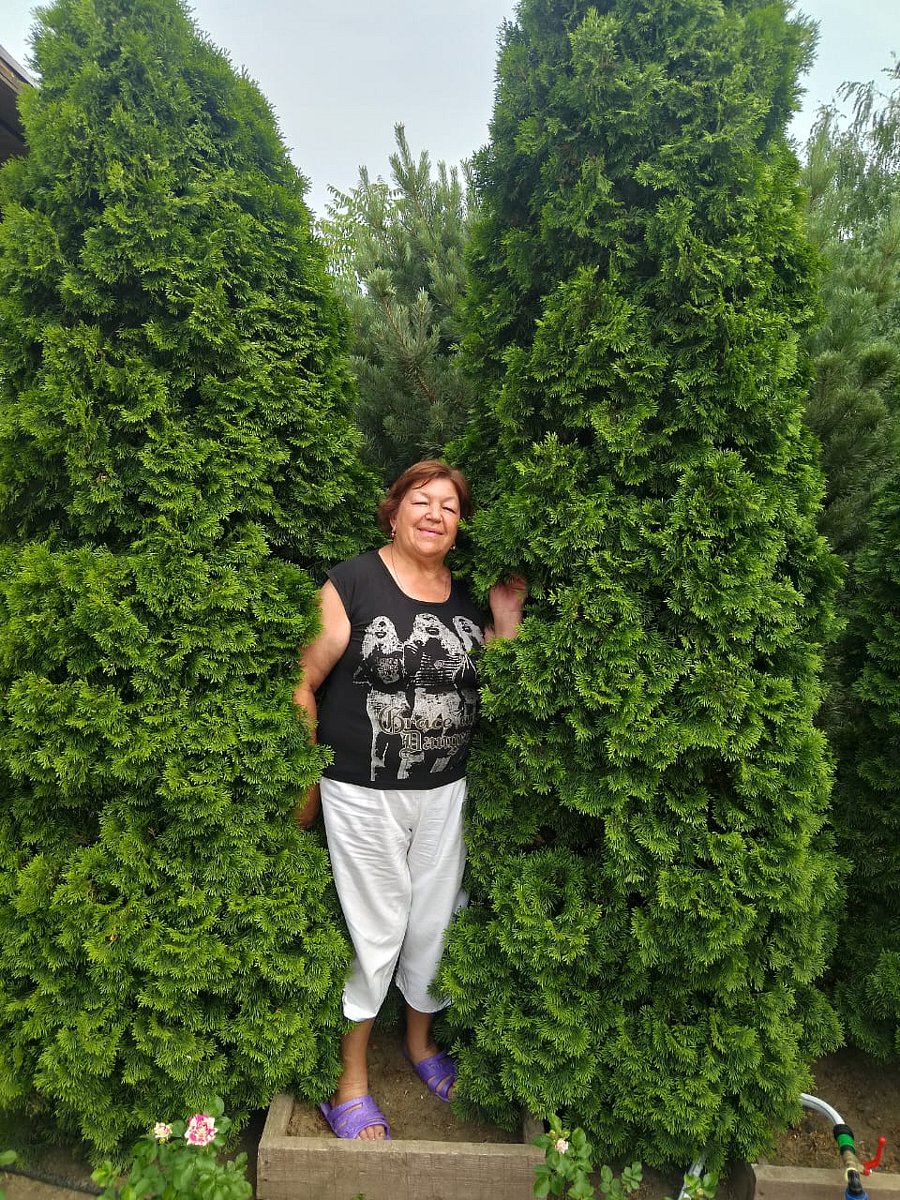 Фото 14 из отзыва о гостевом доме Атмосфера