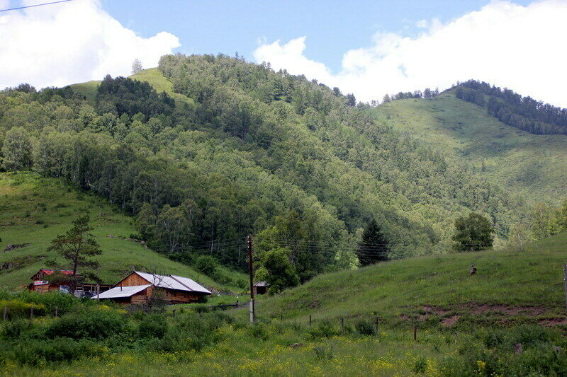 База отдыха Борискин лог, Алтайский край, Алтайский район 