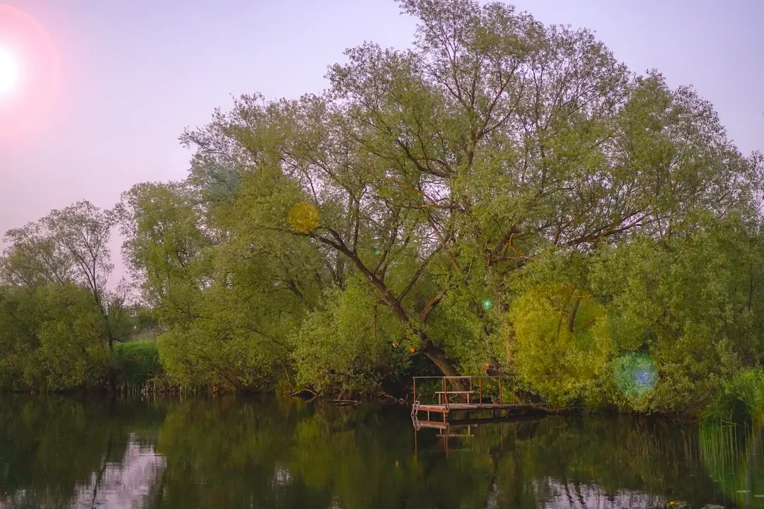 Глушь, Тульская область: фото 5