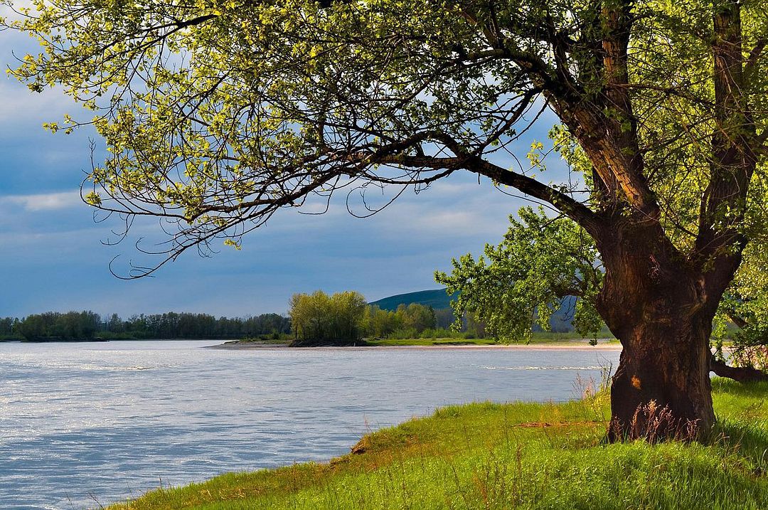 Остров Кемп, Ленинградская область: фото 5