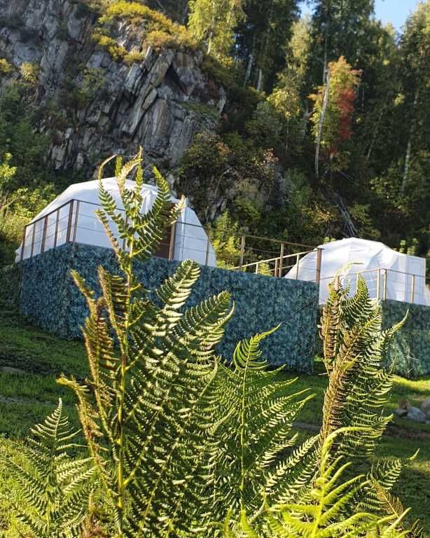 Глэмпинг Горыныч, село Ая, Алтайский край