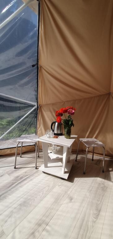 Горыныч, Алтайский край: фото 4