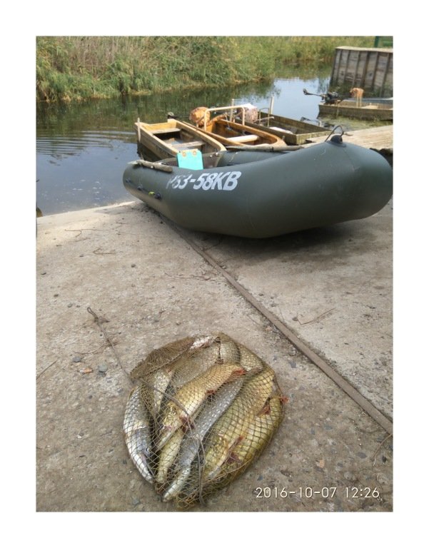 База Отдыха Юность, Краснодарский край: фото 5