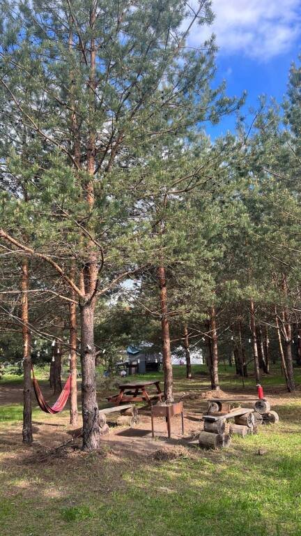 Грибная Находка by Reston, Калужская область: фото 2