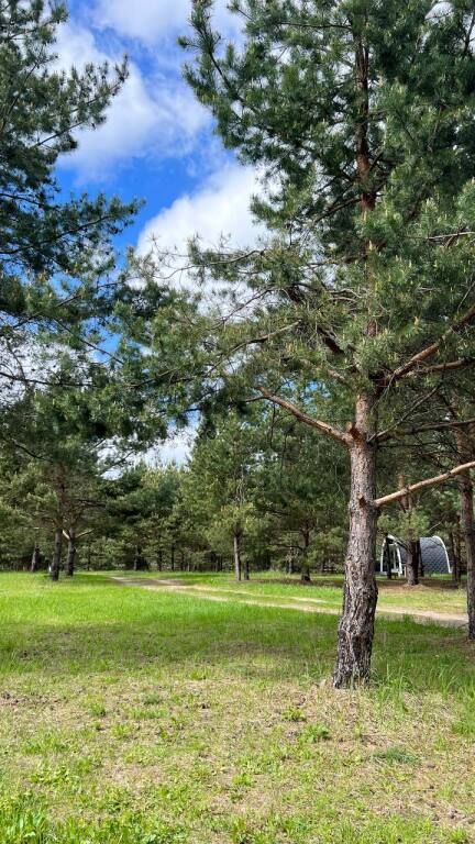 Грибная Находка by Reston, Калужская область: фото 5