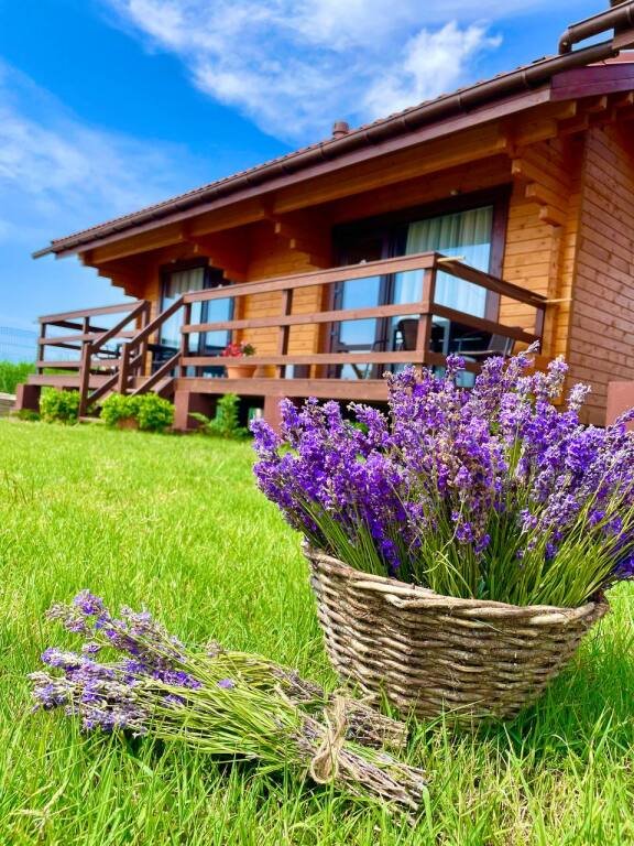 База отдыха Кактус, Крым: фото 3