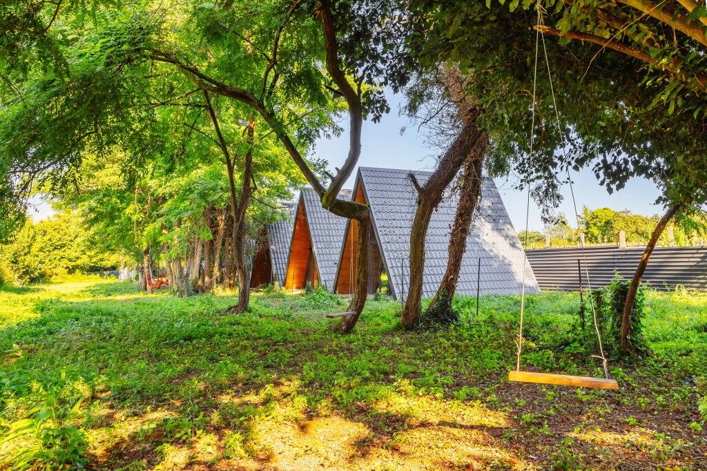 ДиАлекс, Гудаутский район: фото 5