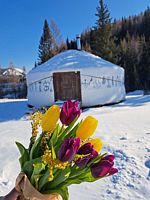 Юрта Большая, Кемпинг Кедровая Сова, Орджоникидзевское
