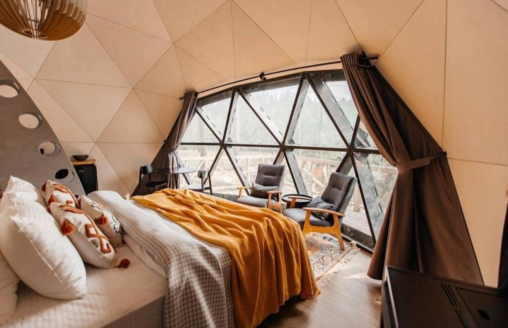 Хвойный берег, Тюменская область: фото 3