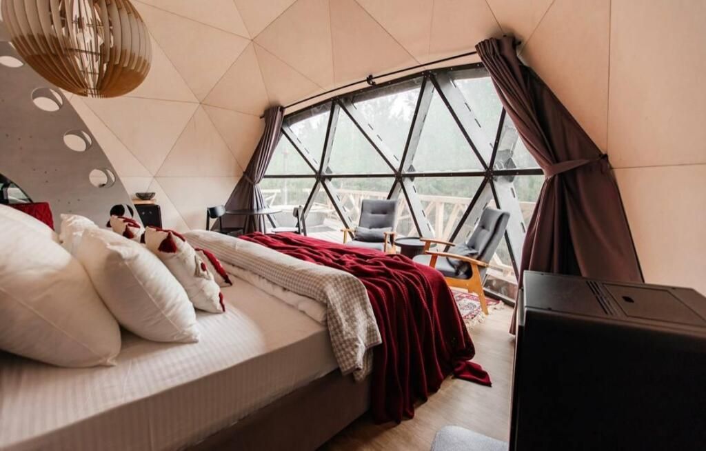 Хвойный берег, Тюменская область: фото 5