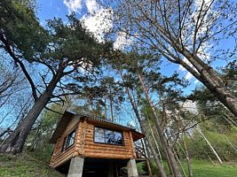 Двухместный коттедж c 1 комнатой двуспальная кровать, База отдыха Водопад, Печоры