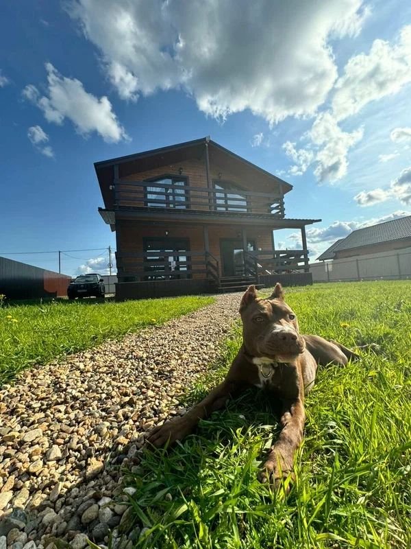 для отдыха, Московская область: фото 2