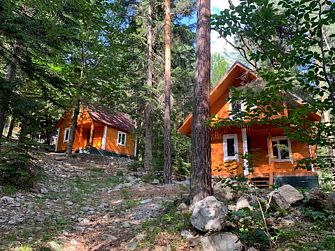 База отдыха Мухоморье