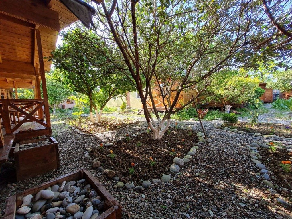 База отдыха Теремки, Гагрский район: фото 4