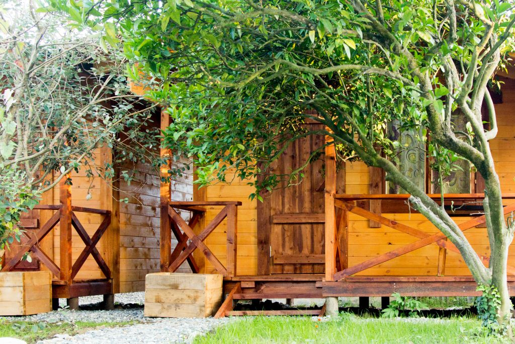 База отдыха Теремки, Гагрский район: фото 3