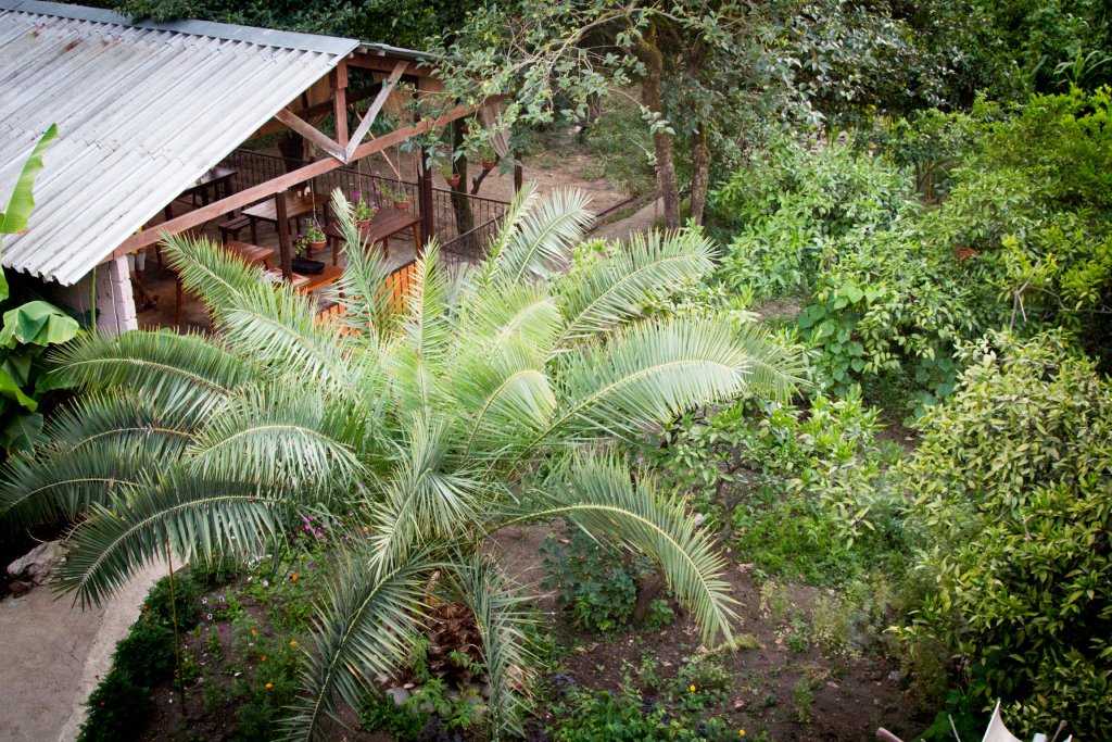 База отдыха Теремки, Гагрский район: фото 5