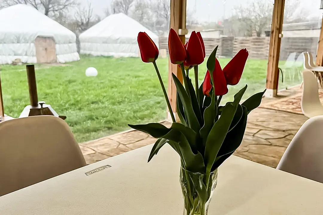 Калмыцкий дворик Сансара, Республика Калмыкия: фото 5