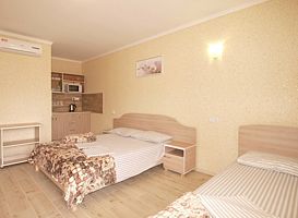 Люкс 2-3-местный 1-комнатный с кухней и отоплением, База отдыха Верона, Кирилловка