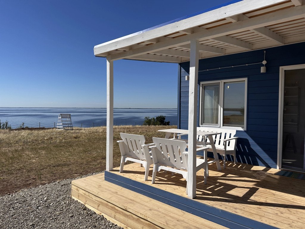 Полынь, Саратовская область: фото 3