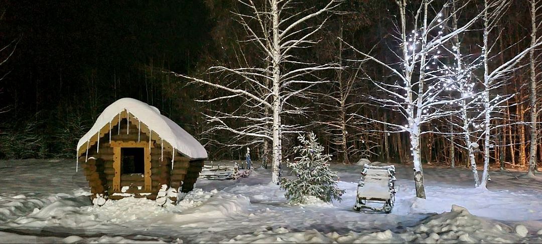 Волшебный лес , Тверская область: фото 5