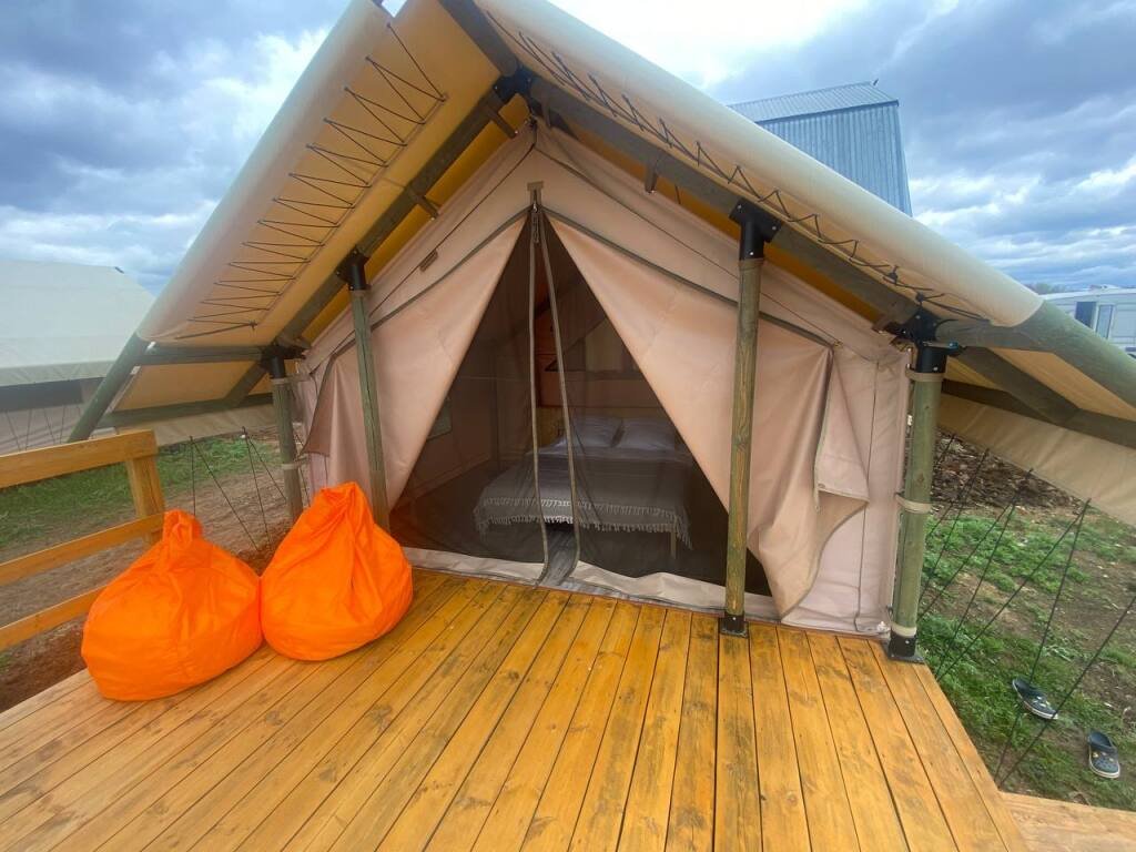 Зооглемпинг в Тульской области, Тульская область, Ефремов Ефремов