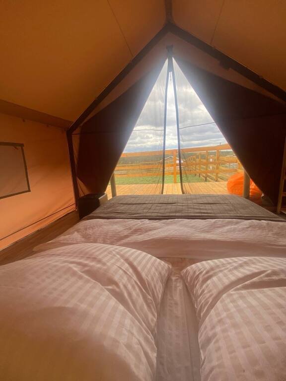 Зооглемпинг в Тульской области, Тульская область: фото 4