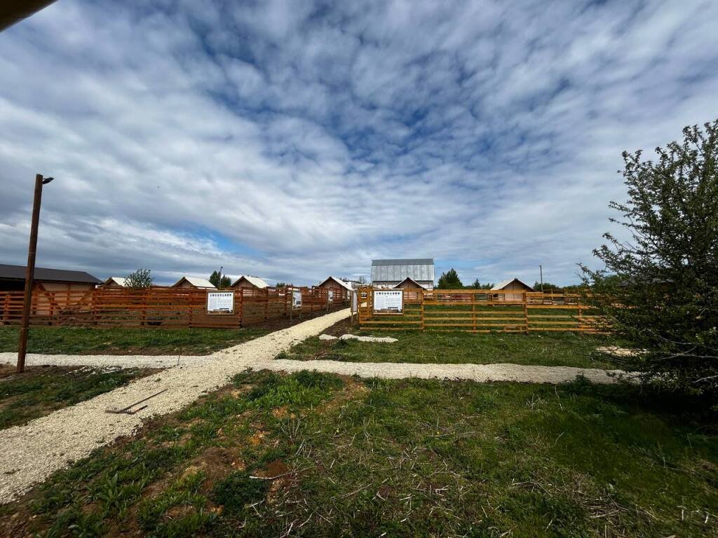 Зооглемпинг в Тульской области, Тульская область: фото 2