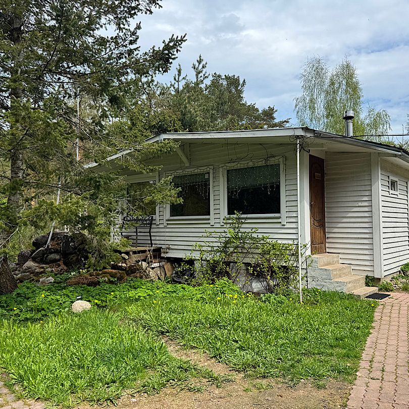 Домик на хуторе Кууса, Ленинградская область: фото 3