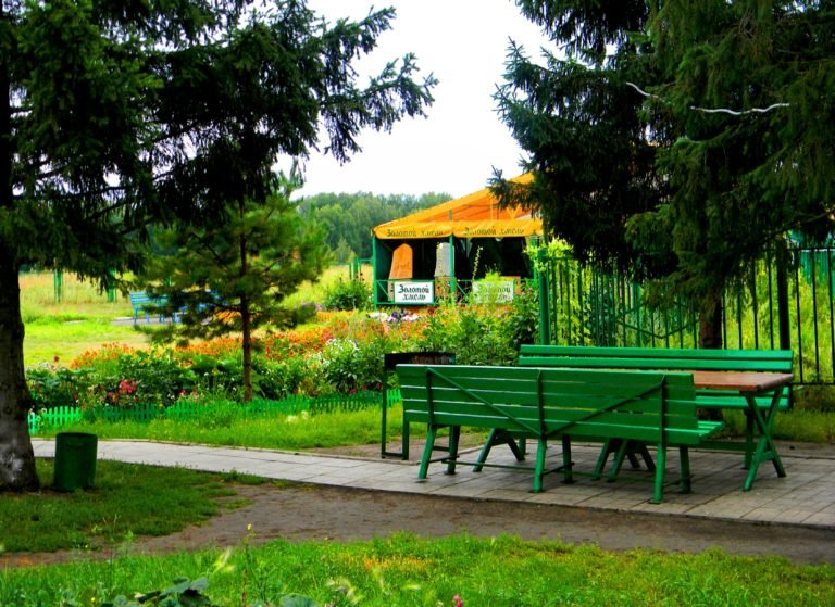 Политотдел, Омская область: фото 2