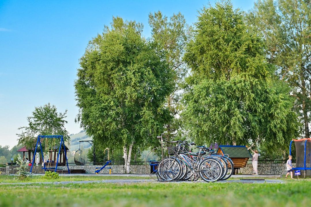 Золотой ключик, Алтайский край: фото 4