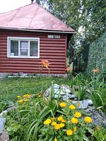 Отдельный дом на 7 человек, Частная усадьба Дом у пруда, село Колывань