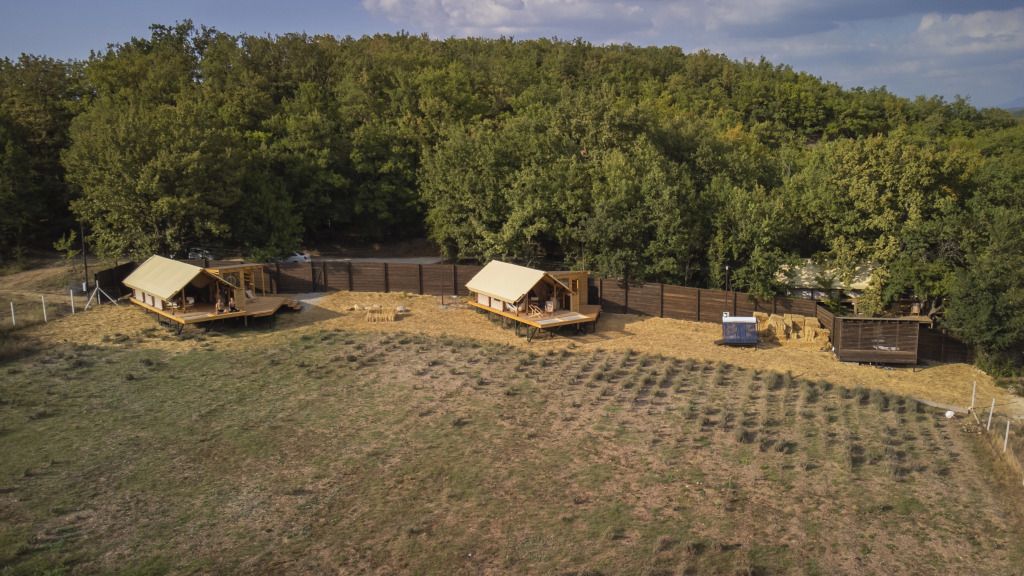 Дана, Крым: фото 2