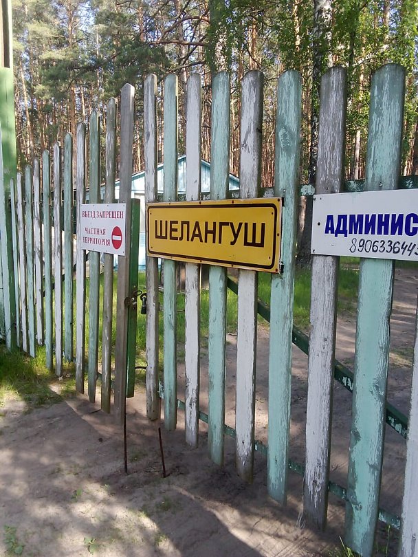 Фото 2 из отзыва о базе отдыха Шелангуш