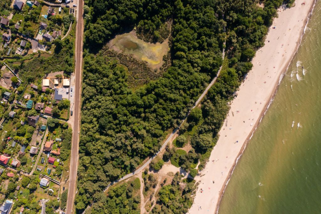 Серф и велик, Калининградская область: фото 3