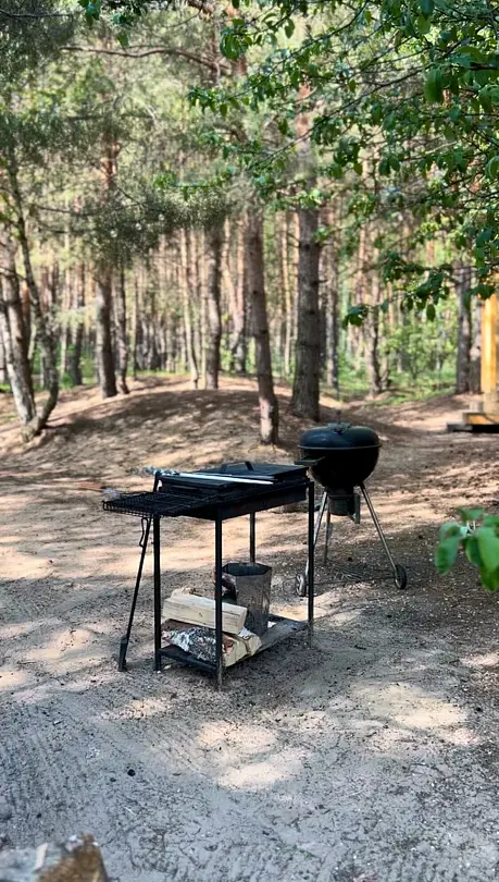 Место под соснами, Рязанская область: фото 5